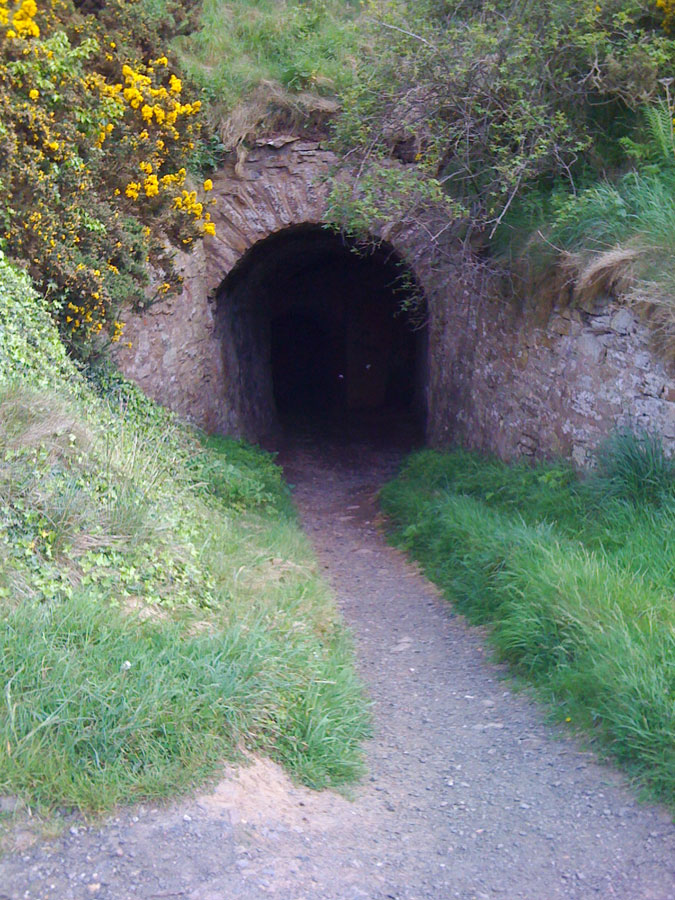 Cockburnspath Tower and Cove Harbour Stravaiging around Scotland